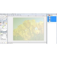 Apply gradient to a picture in GIMP