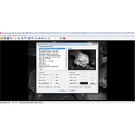 Creating picture fram in IrfanView