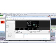 Subtitles panel in VideoPad Vide Editor