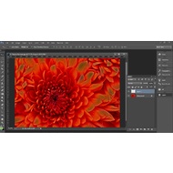 Layers in Adobe Photoshop CC