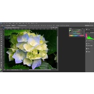 Color and Histogram in Adobe Photoshop CC