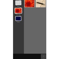 Collage option of Autodesk Pixlr