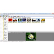 The main screen of XnView Etended