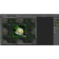 Crop tool in Adobe Photoshop CC